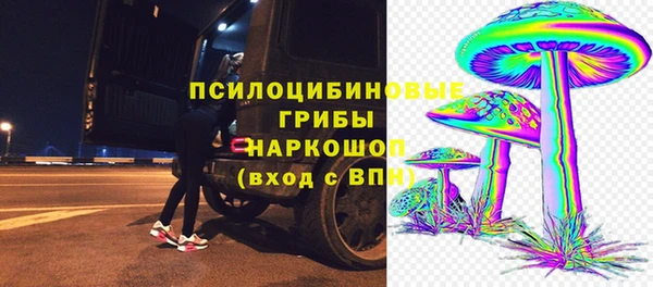 ешки Абинск